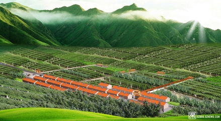 农业大棚种植基地采摘园设计案例鸟瞰效果图